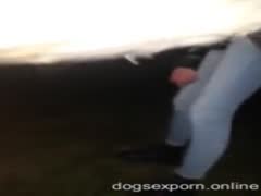 Amature wife suck horse dick