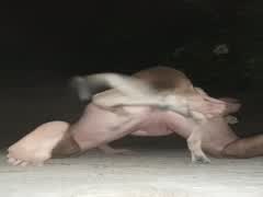 Passivopranegros  anal dog oral ano 2025  10 Jan.