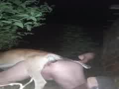 Engate com dog nozao fez barulho exploração no vuzao do viadao