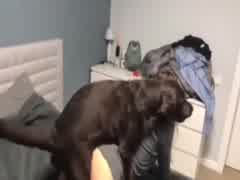 Horny with my dog
