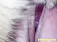 Best knot ever full