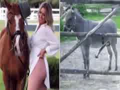 Horny Bitch and Her Horse